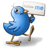 What Is Twitter?