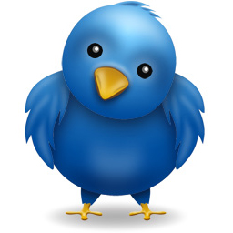 Using Twitter For Your Charity Fundraising