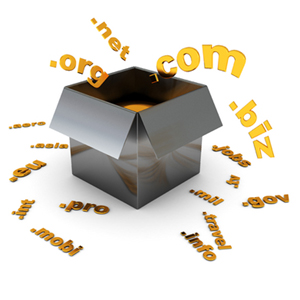 Buying Your Domain Name Through Godaddy