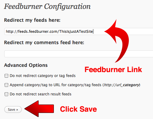 Insert Your FeedBurner Link