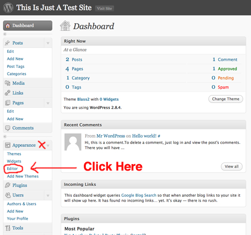 themeeditorlink