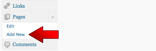Click On The Add New Link