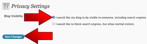 Blog Visibility