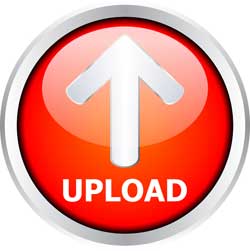 How To Install A Wordpress Theme Using FileZilla.